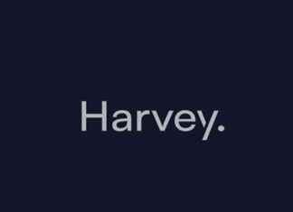 The Hype Behind Harvey: Stealthy Startup Raising Industry EyebrowsUnveiling the Intrigue: Harvey Startup Sparks Industry Buzz news-14062024-075127