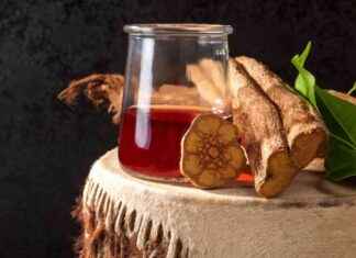 The Impact of the WIPO Treaty on Genetic Resources
Genetic Resources: WIPO Treaty’s Ethical Implications news-14062024-080154