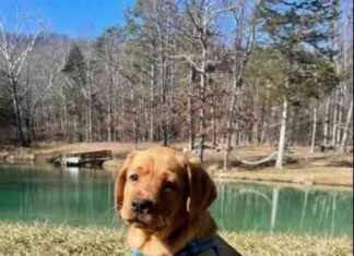 Roche Sues Indian Sellers Over Expired Accu-Chek Devices: US Chamber Criticizes Sanders for Abuse of Power news-14062024-113113