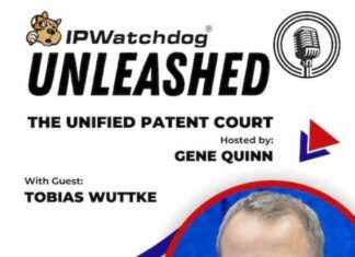 The Unified Patent Court: One Year In
Unified Patent Court: A Year in Review news-14062024-213517