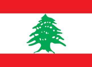 Second Middle Eastern Migrant Crisis Looming in Europe: What to Expect news-15062024-020053