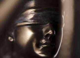 Navigating Patent Law: Trends in Decisions and Procedures news-20062024-191833