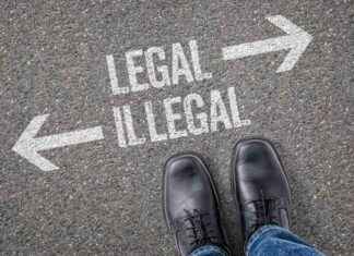 Harry Reid’s Accurate Immigration Prediction: A Flashback news-03072024-210900