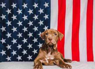 China Leads in Generative AI Patents: WIPO Report, Texas Judge Halts FTC Noncompete Ban, Teva Under Investigation news-05072024-154903