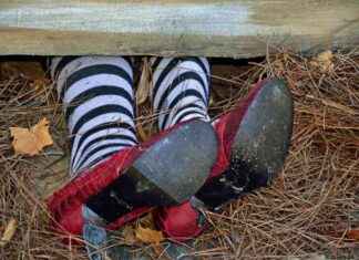 Understanding the Impact of Chevron’s Demise on Global Markets news-09072024-145224