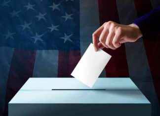 Ensuring Voting Integrity: Federal and Local Importance news-19072024-021549