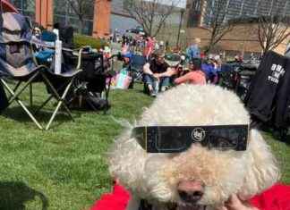 UPC Issues First-Ever Patent Revocation; Meta AI Model Unreleased in EU; CAFC Dismisses PTAB Appeal news-19072024-211651