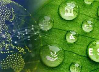 ESG Trends in Asia-Pacific | Q2 2024 Update news-24072024-053631