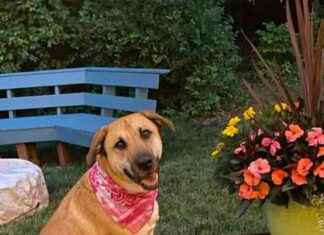 U.S. Chamber Warns of Threat to CHIPS Act Investments, IOC Anti-Counterfeiting Program for Paris 2024, Eleventh Circuit Remands Copyright Claim news-03082024-080752