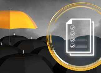 Navigating Belgium’s Latest Tort Liability Changes: A Guide for Directors news-06082024-152433