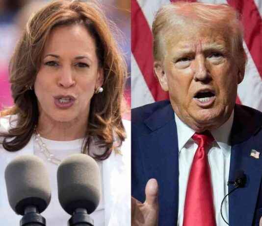 Key Considerations for the Legal Industry in the 2024 US Presidential Election news-10082024-055549