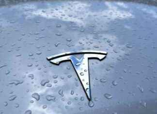 Consolidated Cases Against Tesla Shareholders for Musk’s Focus on X, AI news-12082024-041508