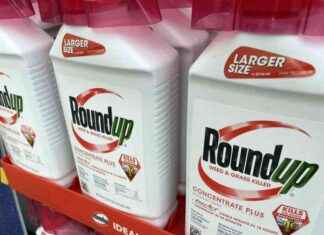 Court Ruling on Monsanto’s Preemption Arguments Differs from Sister Courts | Law Insights news-17082024-211021