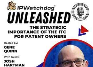 Strategic Importance of ITC for Patent Owners: Key Insights and Benefits news-19082024-222531