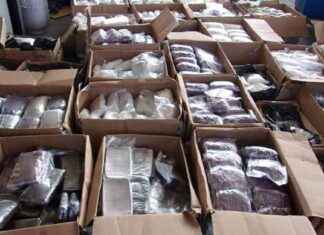 Fentanyl Crisis: Record Seizures and Rising Death Toll at the Border news-23082024-111918