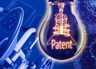 Key Patent Decisions in Germany: Understanding Prior Art and Public Availability news-26082024-234219