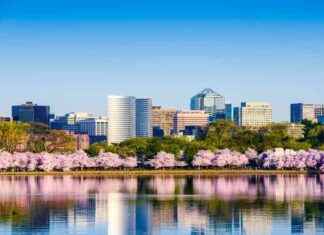 Former Major Leader Joins CenterPeak Law – Law.com news-10092024-065922