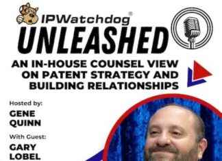 Patent Strategy and Relationship Building: Insights from an In-House Counsel news-10092024-181909