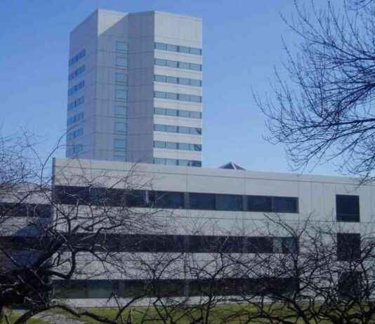 Johnson & Johnson’s Third Talc Bankruptcy in Texas: What You Need to Know news-21092024-114535