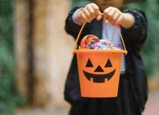 Unconstitutional Ruling on State Law Requiring Sex Offenders to Display ‘No Candy’ Sign news-03102024-234857