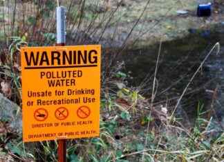 Impact of Mass Illegal Migration on Native Tribes from Panama to the U.S. news-10102024-230241