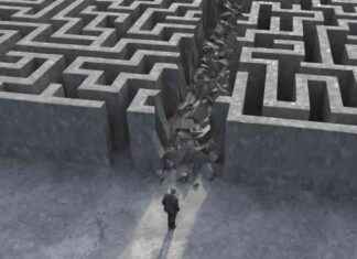 Creating a Path Back for Disbarred Attorneys: A Story of Resilience and Redemption news-21102024-223907