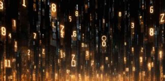 news-10112024-215615