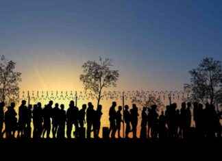 Ending Illegal Immigration: Crucial Advice for Blue States news-14112024-162427