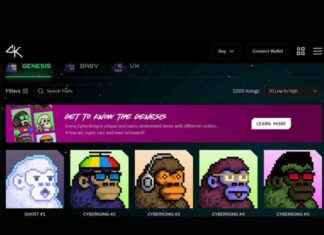 SEC Investigates CyberKongz for Token Registration: A ‘Badge of Honor’ sec-nvestigates-cyberkongz-for-token-registration-a-badge-of-honor