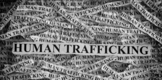 the-link-between-llegal-migration-and-sex-trafficking-exploring-the-mpact