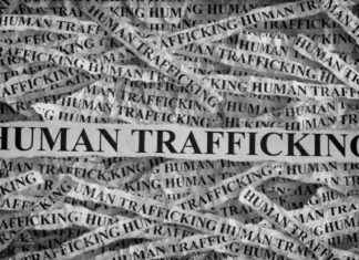 The Link Between Illegal Migration and Sex Trafficking: Exploring the Impact the-link-between-llegal-migration-and-sex-trafficking-exploring-the-mpact