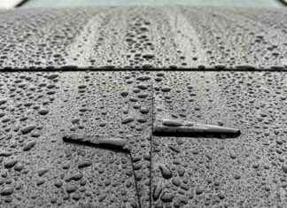 Securities Action Against Polestar Alleges Errors in SEC Filings securities-action-against-polestar-alleges-errors-in-sec-filings