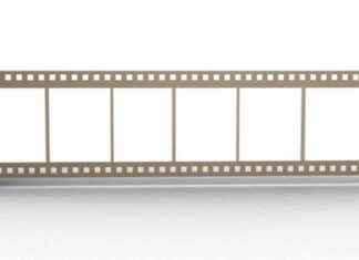 Top 2024 Photo Galleries: Explore Our Favorites top-2024-photo-galleries-explore-our-favorites