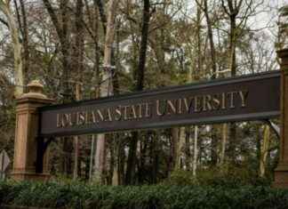 Court rules law professor cannot be reinstated immediately for criticizing leaders court-rules-law-professor-cannot-be-reinstated-immediately-for-criticizing-leaders