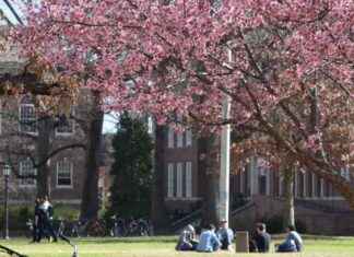 Challenges Arise from Trump’s DOE Oversight and Funding Changes challenges-arise-from-trumps-doe-oversight-and-funding-changes