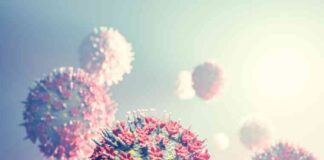 court-rules-pfizer-biontech-nfringed-modernas-vaccine-patent