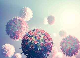 Court Rules Pfizer, BioNTech Infringed Moderna’s Vaccine Patent court-rules-pfizer-biontech-nfringed-modernas-vaccine-patent