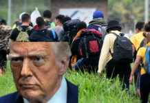 Trump Revoke Legal Status Of Migrants: What It Means For You Trump Revoke Legal Status Of Migrants