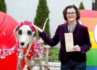 Law Graduate Settles First Amendment Lawsuit Over Repurposed Skeleton Displays law-graduate-settles-first-amendment-lawsuit-over-repurposed-skeleton-displays