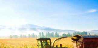 the-threat-of-roundups-demise-concerns-for-americas-food-supply