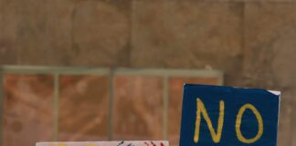 Brad Pitt Has Won The Legal Battle Against Angelina Jolie – Shocking Details Revealed