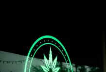 Is Weed Legal In New Mexico? Discover The Truth Today