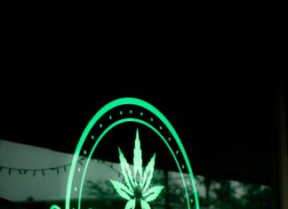 Is Weed Legal In New Mexico? Discover The Truth Today