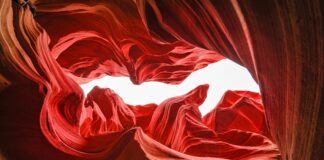 Where Is Prostitution Legal In The US? Discover Surprising Facts