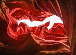 Where Is Prostitution Legal In The US? Discover Surprising Facts