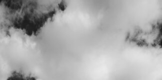 Is Weed Legal In Washington State? Discover The Truth Today