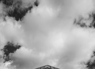 Is Weed Legal In Washington State? Discover The Truth Today