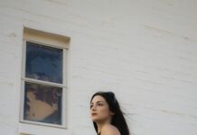 Did Trump Make Window Tint Legal? Shocking Truth Revealed