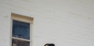 Did Trump Make Window Tint Legal? Shocking Truth Revealed