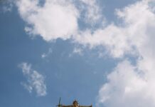 Is Weed Legal In The UK? Discover The Truth Behind The Law